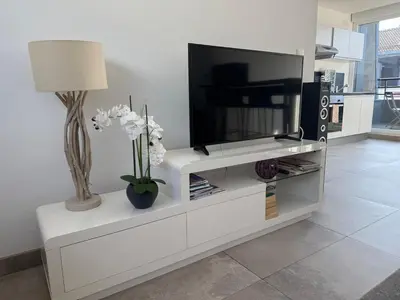 Télévision ou salle de divertissement dans l'établissement Duplex 70 sqm 5mn from Basel 1 free parking