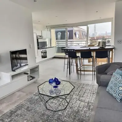 Duplex 70 sqm 5mn from Basel 1 free parking