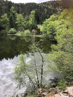 Paysage naturel près de l'appartement