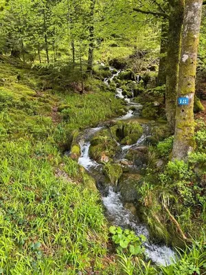 Paysage naturel près de l'appartement
