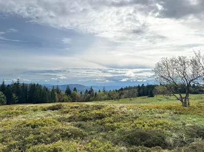 Paysage naturel près de l'appartement