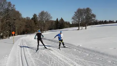 L'établissement OCHG Le Petit Paisible 1-6 personnes 3 étoiles en hiver