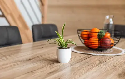 Nourriture dans la maison de vacances ou à proximité