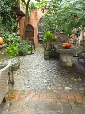 Jardin de l'établissement Chez Norbert gîte Le Riesling