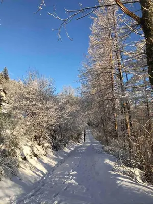 L'établissement Cozy chalet in the Vosges with scenic views en hiver