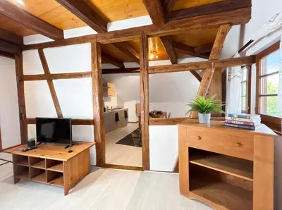 Télévision ou salle de divertissement dans l'établissement Duplex de Charme - Turckheim - Route des Vins