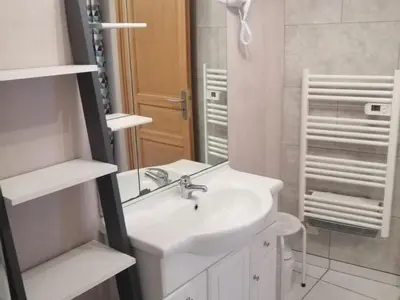 Salle de bains dans l'établissement Gîte Confortable 2 Pers, Parking, Terrasse Privative - Merxheim - FR-1-744-52