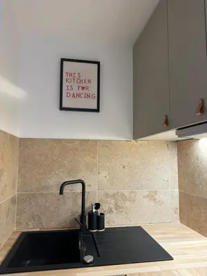 Cuisine ou kitchenette dans l'établissement Le Basilisk - Studio in Huningue