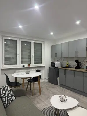 Cuisine ou kitchenette dans l'établissement Appart' Cosy proche Mulhouse