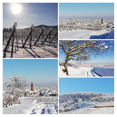 L'établissement Au cœur de l'Alsace en hiver