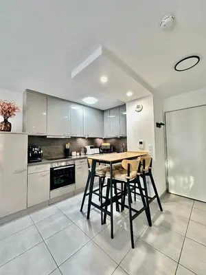 Cuisine ou kitchenette dans l'établissement Holiday Suite City Center Airport Swiss Border Shopping mall