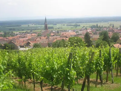 Plan de l'établissement Gite MUSCAT en Alsace sur la route des vins