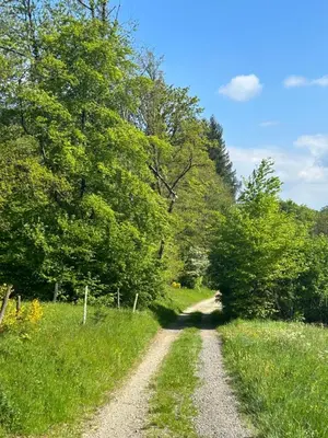 Paysage naturel près de la maison de vacances