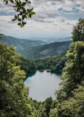 Paysage naturel près de la maison de vacances