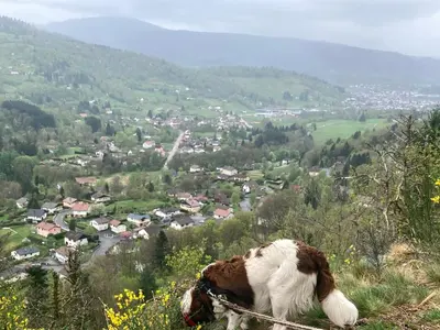 Paysage naturel près de la maison de vacances