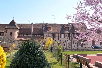 Jardin de l'établissement Le Millésime Gîte de Charme classé 4 étoiles sur les remparts - Animaux de compagnie acceptés
