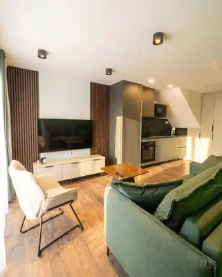 Cuisine ou kitchenette dans l'établissement Le Lounge-Prestige Residence Euroairport