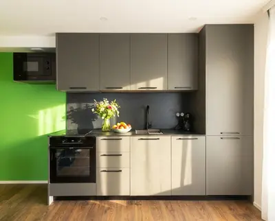 Cuisine ou kitchenette dans l'établissement Le Premium-Prestige Residence Euroairport