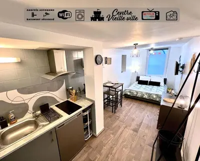 Cuisine ou kitchenette dans l'établissement Montbel'appart Studio Central tout équipé