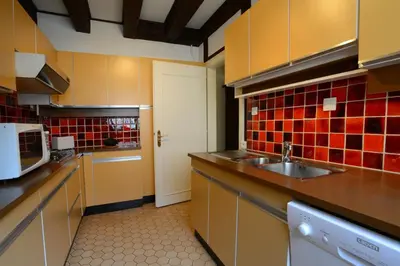 Cuisine ou kitchenette dans l'établissement COLMAR city center place de l'Ancienne Douane - Apartment 