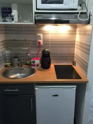 Cuisine ou kitchenette dans l'établissement Cozy studio face Gare tgv Mulhouse