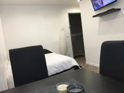 Télévision ou salle de divertissement dans l'établissement Cozy studio face Gare tgv Mulhouse