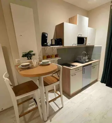 Cuisine ou kitchenette dans l'établissement Val Saint Gregoire 67 Charmant Souplex 2 Pers Colmar