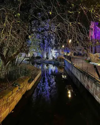 Vue sur la rivière ou le fleuve situé(e) à proximité de l'appartement