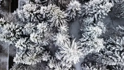 L'établissement Villa Pré d'Oro Appartement 2 Personnes en hiver
