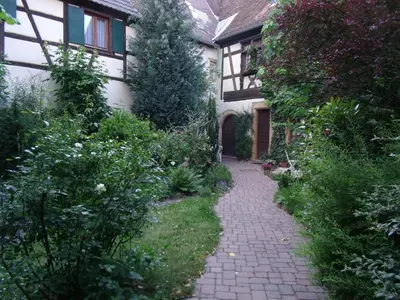 Jardin de l'établissement Studio La Grenouillère