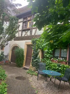 Jardin de l'établissement Studio La Grenouillère