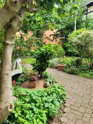 Jardin de l'établissement Studio La Grenouillère