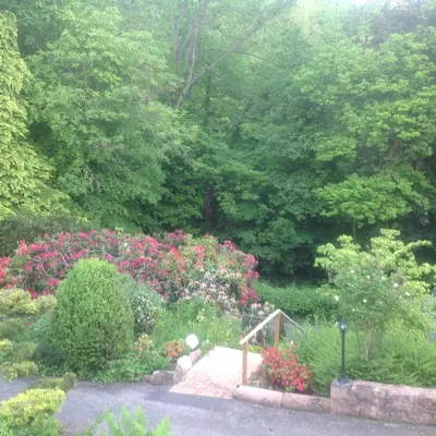 Jardin de l'établissement Birgele