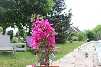 Jardin de l'établissement Gite De La Route Du Vin