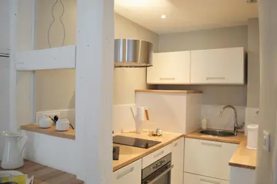 Cuisine ou kitchenette dans l'établissement Studio Maison Verte Colmar Centre