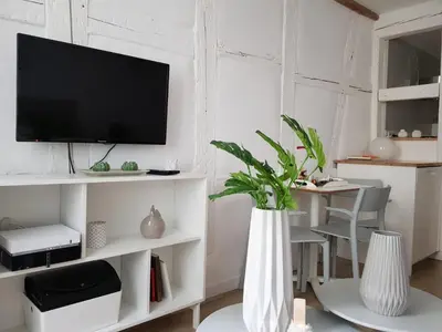 Cuisine ou kitchenette dans l'établissement Studio Maison Verte Colmar Centre