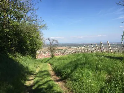 Paysage naturel près de l'appartement