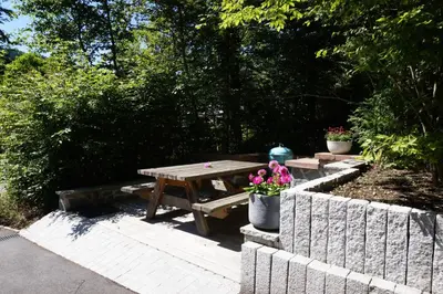 Jardin de l'établissement le 18 bis