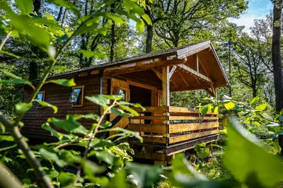 Jardin de l'établissement Camping Osenbach