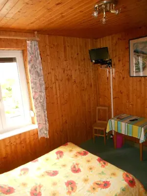 Télévision ou salle de divertissement dans l'établissement Hotel Les Sapins