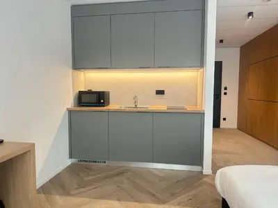 Cuisine ou kitchenette dans l'établissement Brit Hotel Grand Hotel Munster