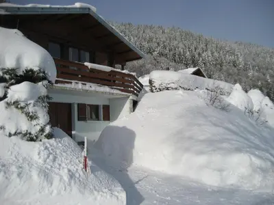 L'établissement Chalet Les Jonquilles en hiver