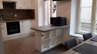 Cuisine ou kitchenette dans l'établissement Tripiers Duplex