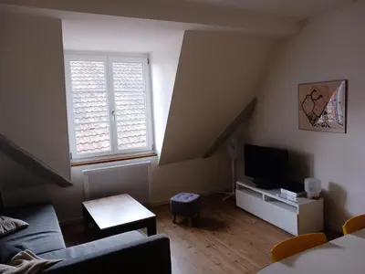 Télévision ou salle de divertissement dans l'établissement Colmar City Center - Cosy Appartement BED' N' BREDALA Max