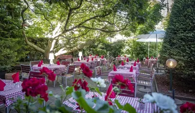 Jardin de l'établissement Hotel Restaurant Aux Sapins