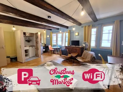 Télévision ou salle de divertissement dans l'établissement Maison Cliquot - Appartements Colmar Centre