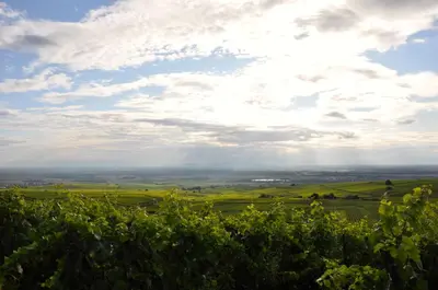 Paysage naturel près de l'appartement