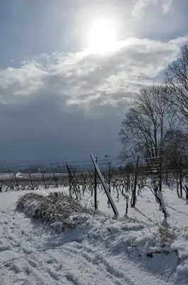 L'établissement Aux Grains Nobles en hiver