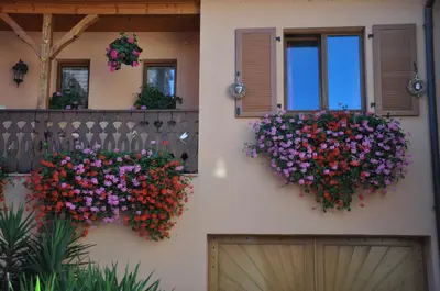 Jardin de l'établissement Aux Grains Nobles