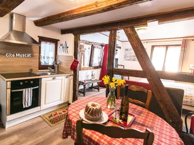 Cuisine ou kitchenette dans l'établissement Gîtes de la Maison Vigneronne, au Coeur de Ribeauvillé